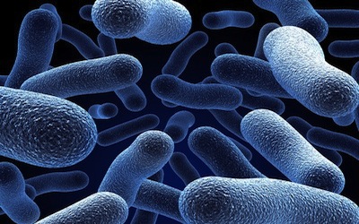 legionella_bacteriën